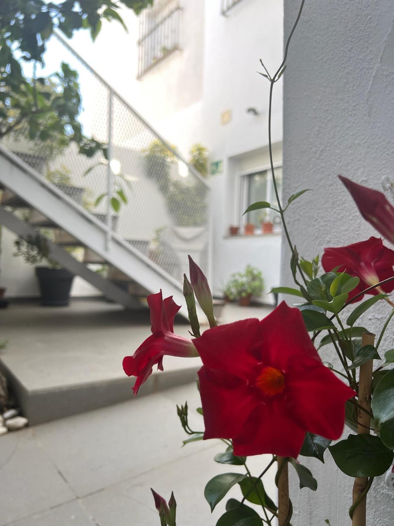 Chipibeach B&B, Hostal Boutique Chipiona Eksteriør billede